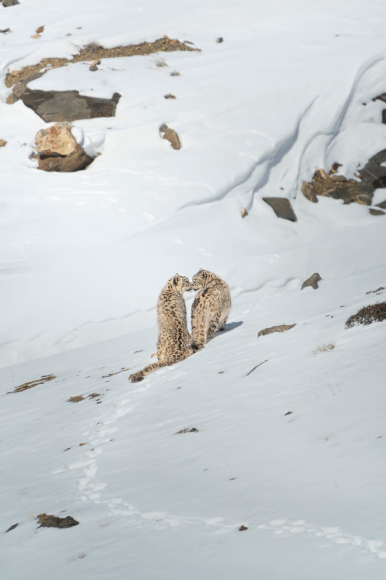 Dann Paiva's photo