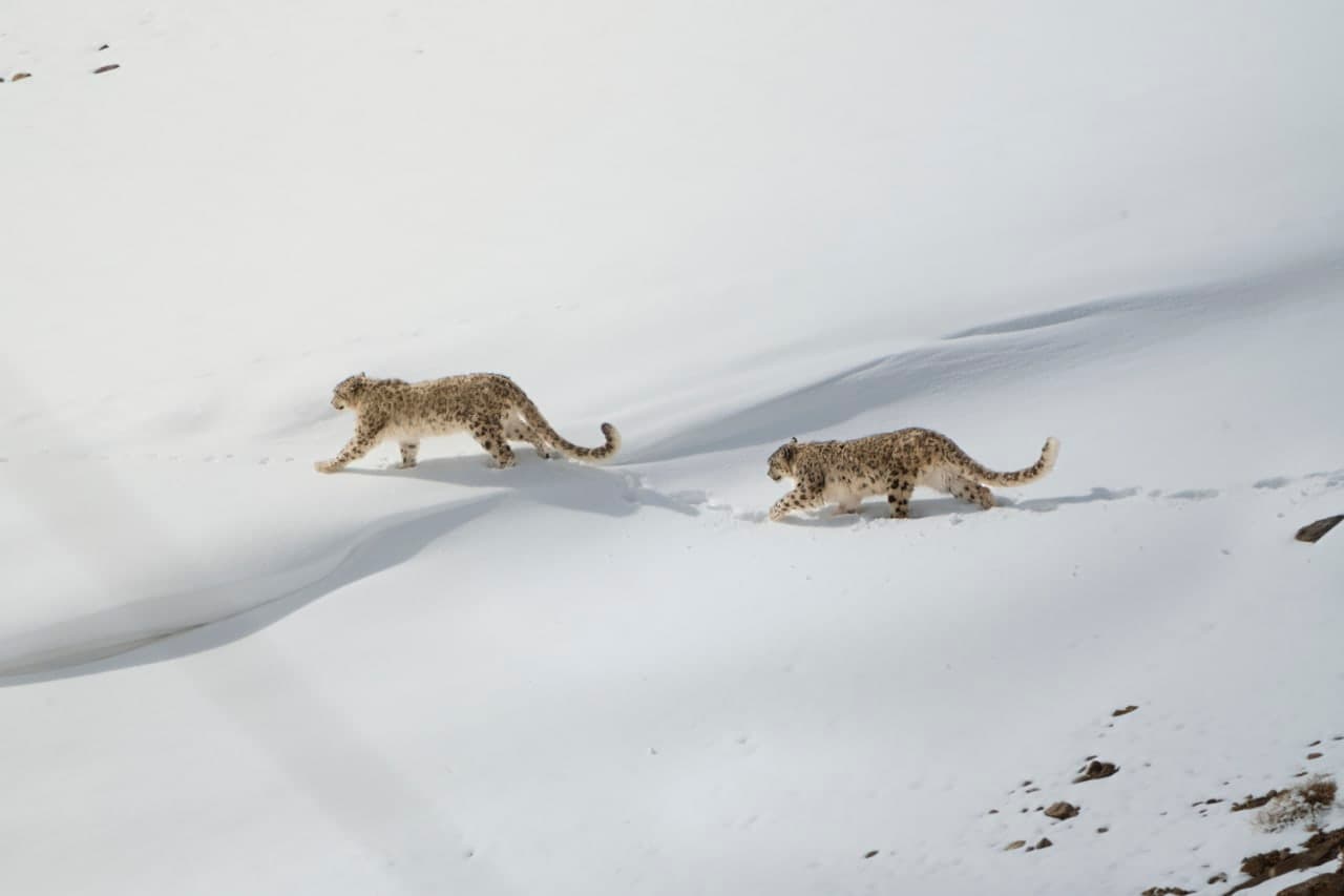 Dann Paiva's photo