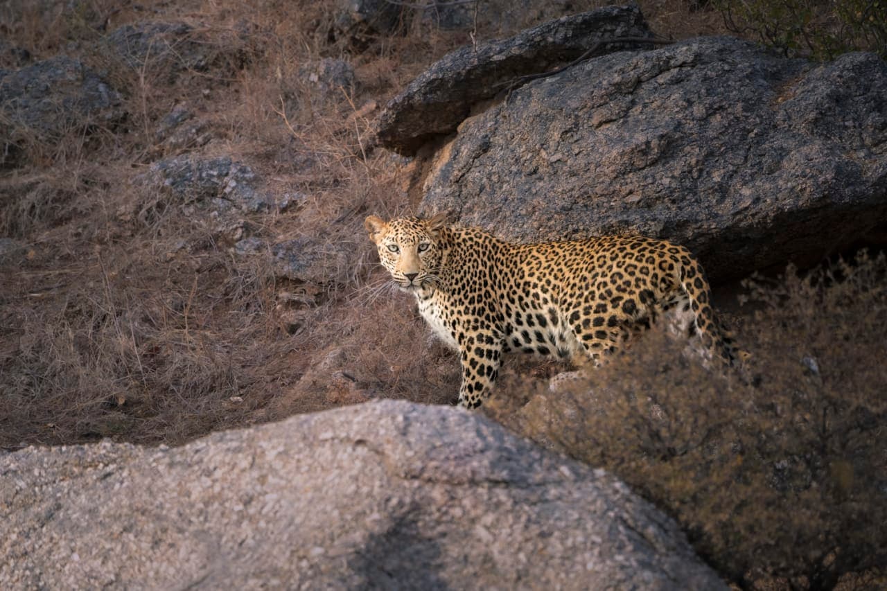 Dann Paiva's photo