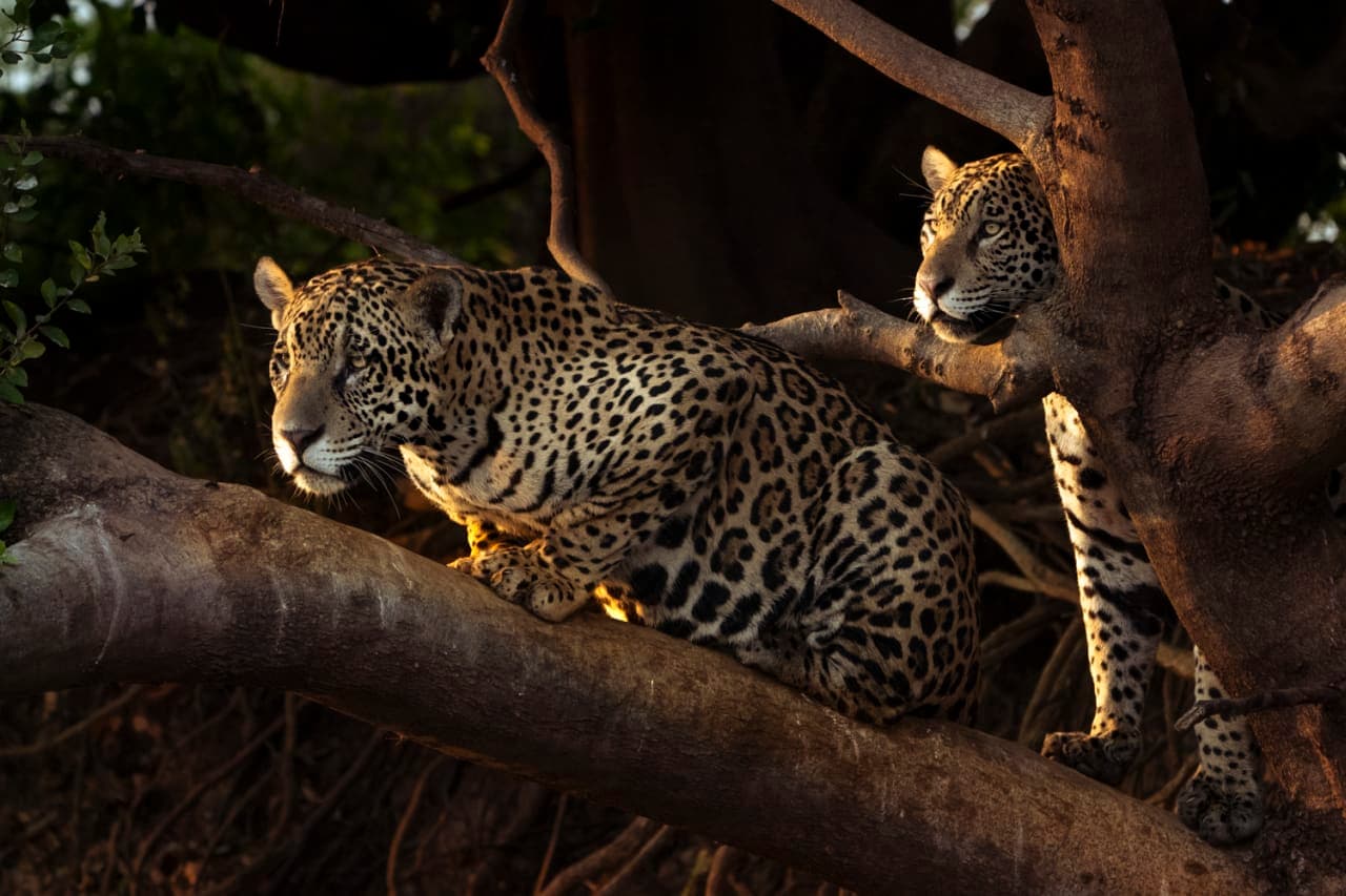 Dann Paiva's photo