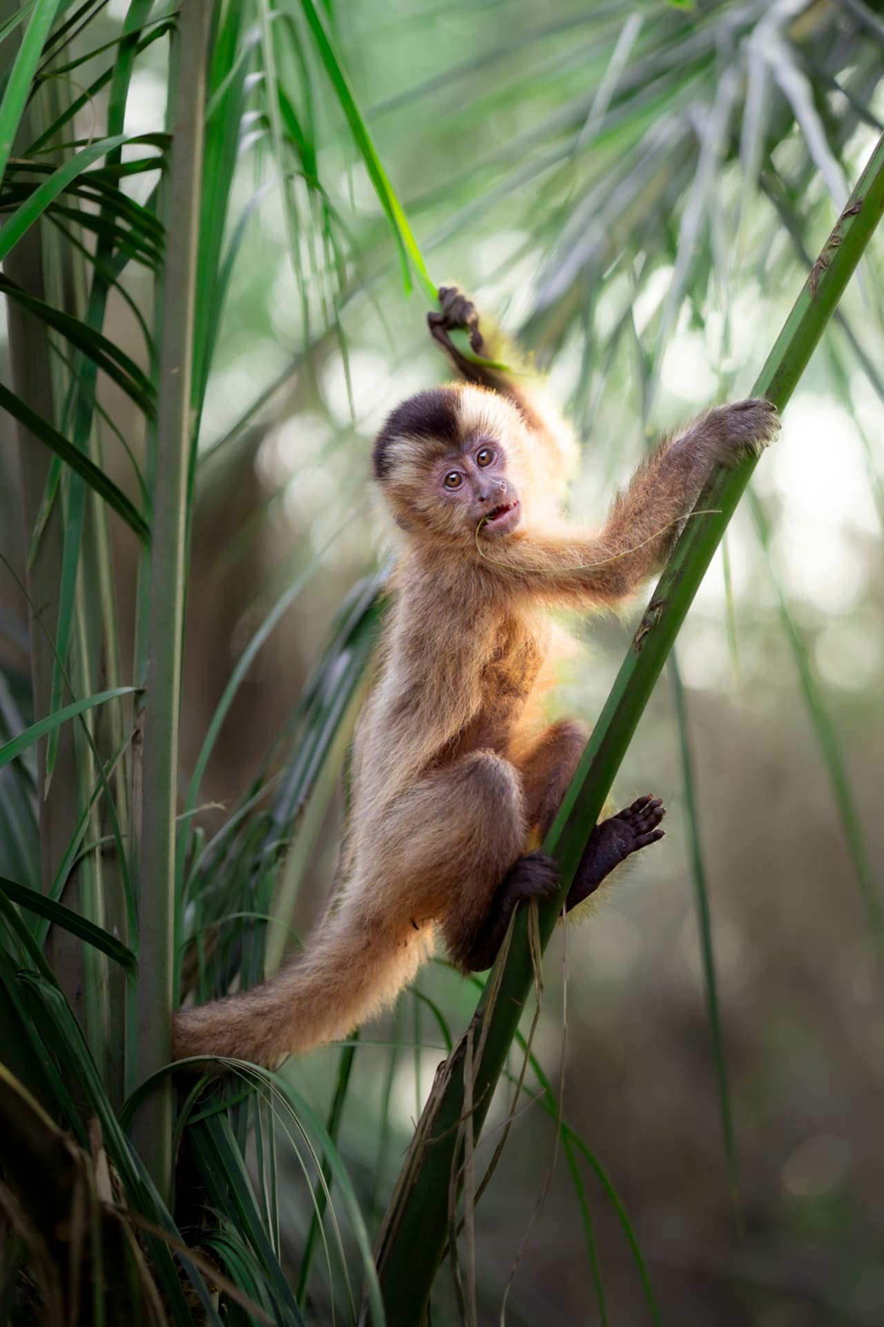 Dann Paiva's photo