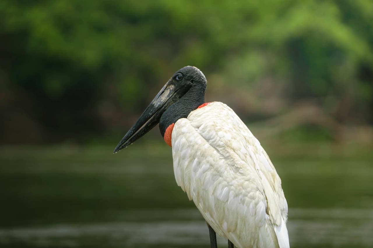 Dann Paiva's photo